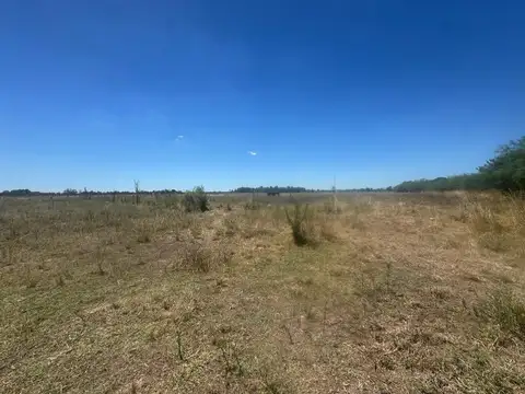 VENTA 10.5 HECTAREAS EN SAN MIGUEL DEL MONTE