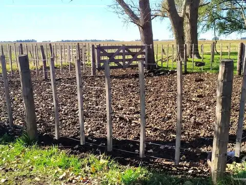 Campo en venta de 77 has en  Saladillo - Agricola ganadero