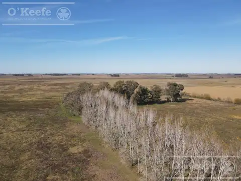 Campo en venta de 77 has en  Saladillo - Agricola ganadero