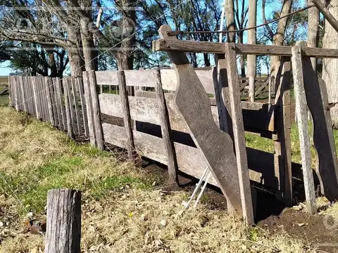 Campo en venta de 77 has en  Saladillo - Agricola ganadero