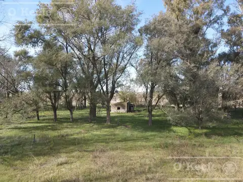 Campo en venta de 77 has en  Saladillo - Agricola ganadero