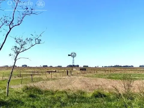 Campo en venta de 77 has en  Saladillo - Agricola ganadero