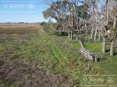 Campo en venta de 77 has en  Saladillo - Agricola ganadero