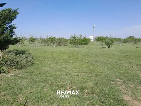 Acceso a Tornquist por ruta 33