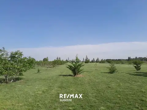 Oportunidad Lote con Emprendimiento de Nogales