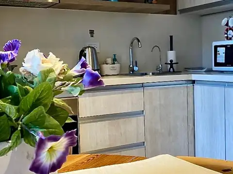 Departamento 2 ambientes alquiler La Boca amoblado