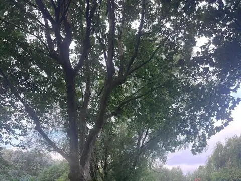 Terreno en Venta de 2400,0 m2