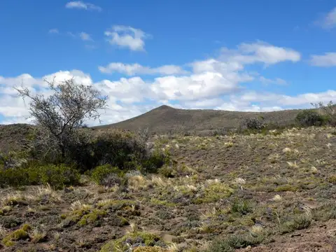 Campo - Lago Buenos Aires