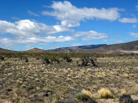 Campo - Lago Buenos Aires