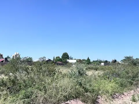 Terreno en Venta en Lujan De Cuyo, USD 6.500