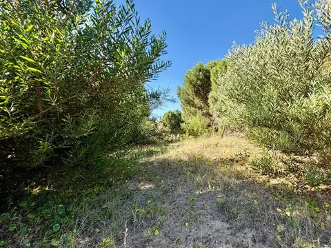 Lote en venta Senderos III Costa Esmeralda