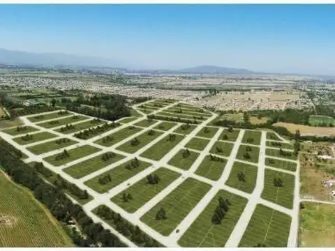 Terreno en Venta de 311,0 m2