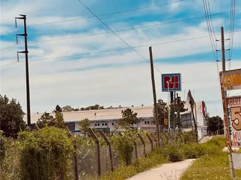 Terreno en Alquiler de 4230,0 m2