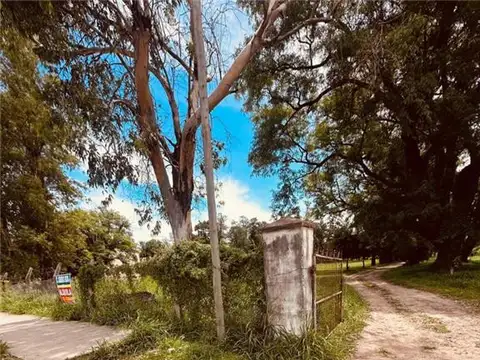 Terreno en Alquiler 47  mts Frente