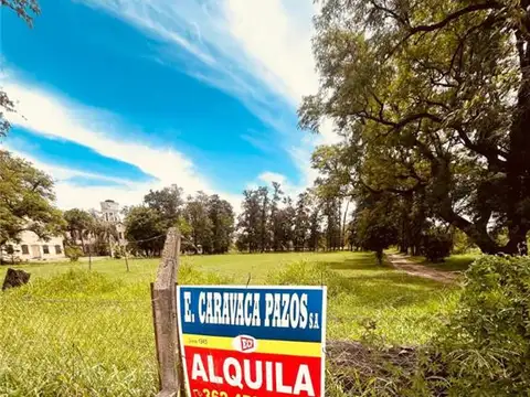 RUTA NACIONAL 11 1000