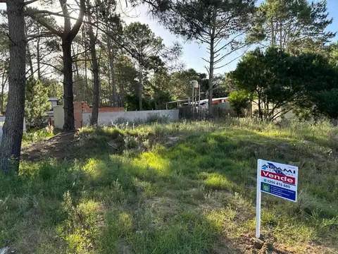 Terreno en Venta en Centro, USD 25.000