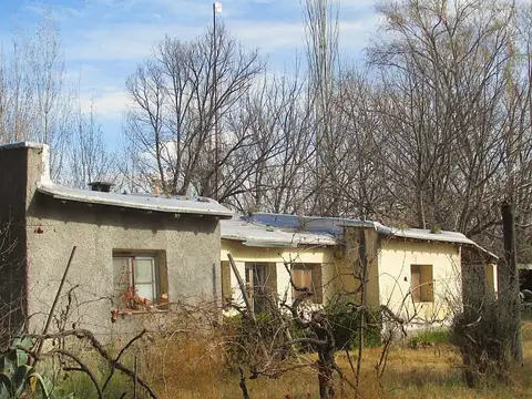Finca 17 hectáreas en Venta Tunuyán Valle de Uco