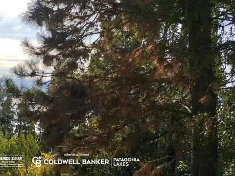 UNICOS 8,8m2 disponibles en el KM 7 corazón de San Carlos de Bariloche