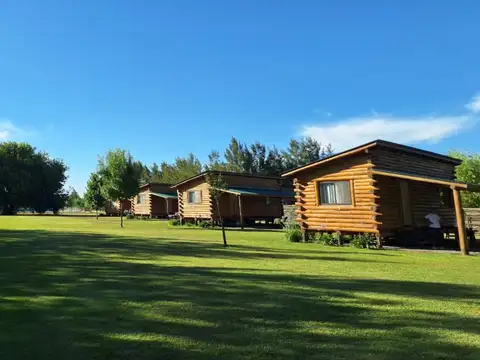 Domingo Masciotra 1000