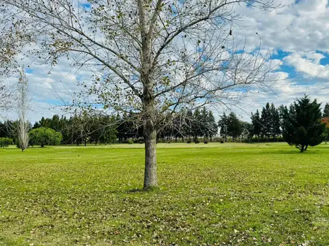 Fincas de San Vicente con fondo al Golf