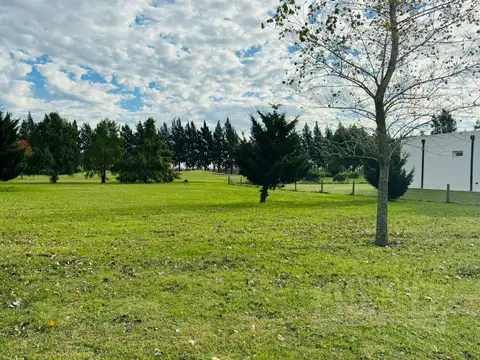 Fincas de San Vicente con fondo al Golf