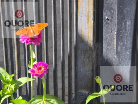 Depto Tipo Casa 4 ambientes con 1 baño