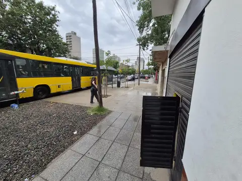 Tribulato  al 500
