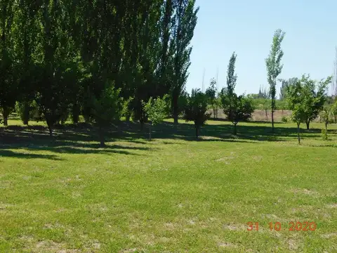 HERMOSO COMPLEJO TURISTICO DE 22000 METROS CON CINCO CABAÑAS