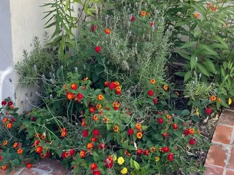 Casa en Alquiler con 2 cocheras