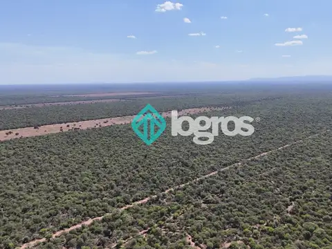 Campo en venta de 430 ha ubicada en Macapillo, Anta, Salta