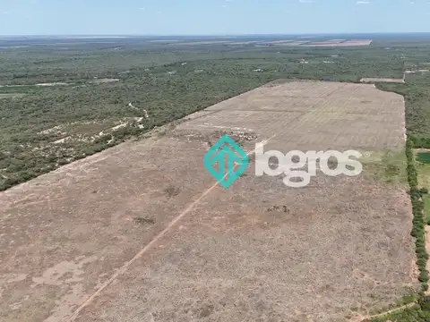 Campo en venta de 430 ha ubicada en Macapillo, Anta, Salta