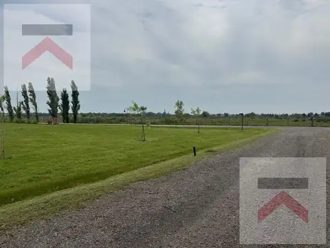 Terreno en Venta 38  mts Fondo