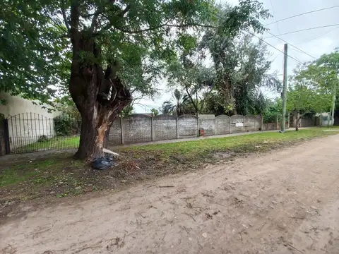 R. Olivera Lavie 3300