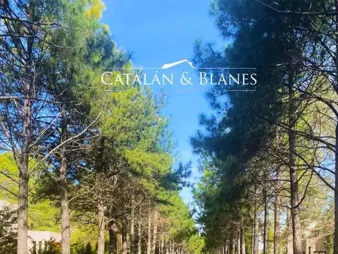 Terreno en Venta de 1488,0 m2