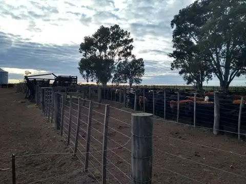 Casa Campo  en Venta en Cabildo, Bahia Blanca, Resto de la Provincia - BLA6152_LP573640_5