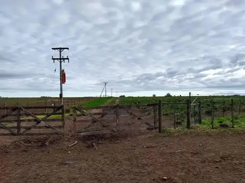 Casa Campo  en Venta en Cabildo, Bahia Blanca, Resto de la Provincia - BLA6152_LP573640_5