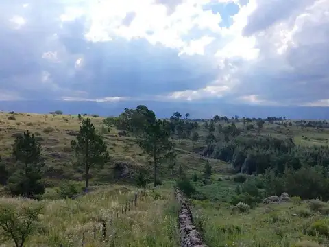 SE VENDE FRACCION 1.6 HECTAREAS EN VILLA YACANTO