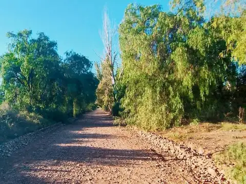 Terreno en Venta 51,94  mts Frente