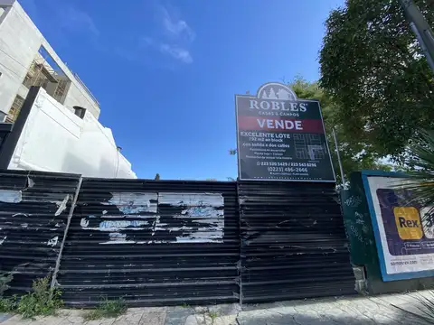 Lotes con factibilidad de construcción sobre calle Leandro N. Alem.