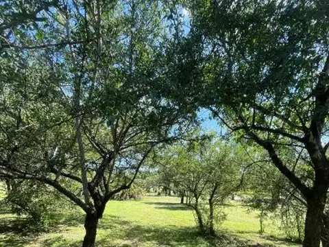 Valle Del Golf