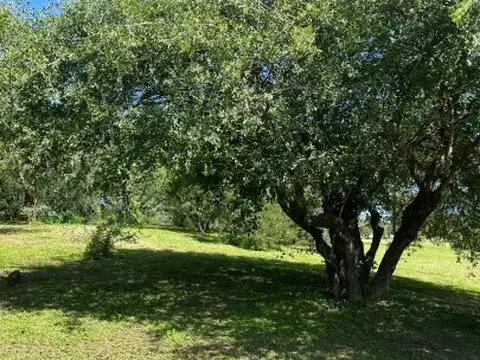 Lote en venta 1.500 m² fondo golf, con vista a la cancha, en Valle del Golf
