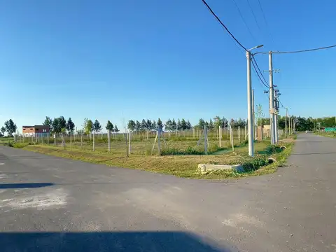 Terreno en  venta, Barrio Cardales Chico