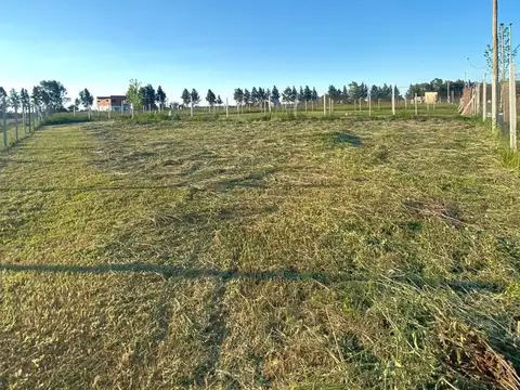 Terreno en Venta de 468,0 m2