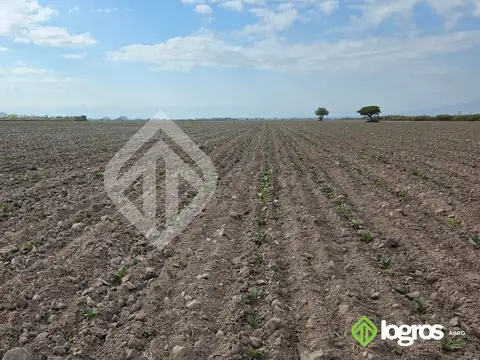Terreno en Venta de 150,0 m2