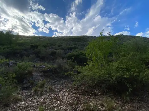 Terreno en Venta de 502,0 m2