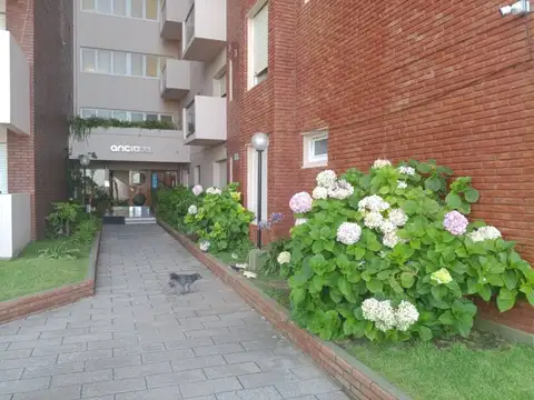 361 - MAR DE AJO: 3 AMBIENTES FRENTE AL MAR + BALCON