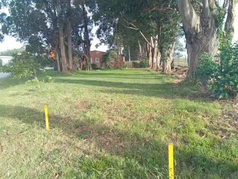 lote 225 Barrancas de San Benito