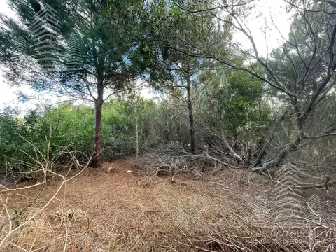 Terreno en Venta de 944,0 m2