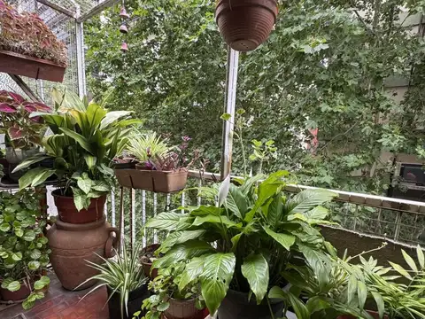 BLANCO ENCALADA  al 2300