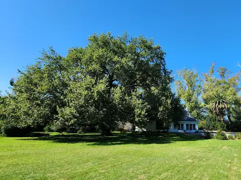 Terreno en Venta de 55490,0 m2